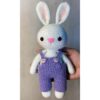 Conejo Amigurumi tejido a Crochet completo